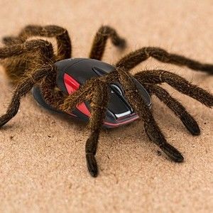 Meet your Posher, Timothy